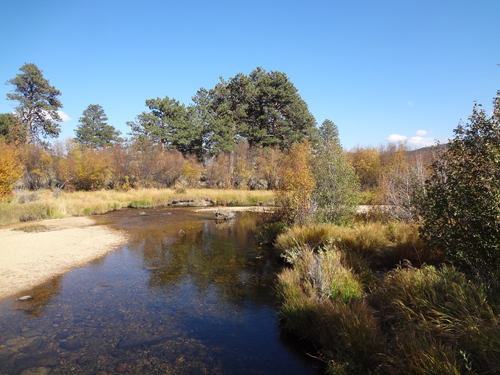 view from the Cub Lake bridge